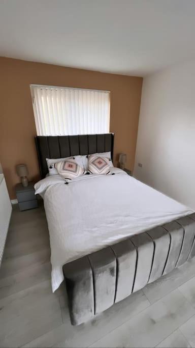3 Stories, 5 Bedroom House In Prime Location With Balcony And Shared Garden Liverpool Eksteriør billede